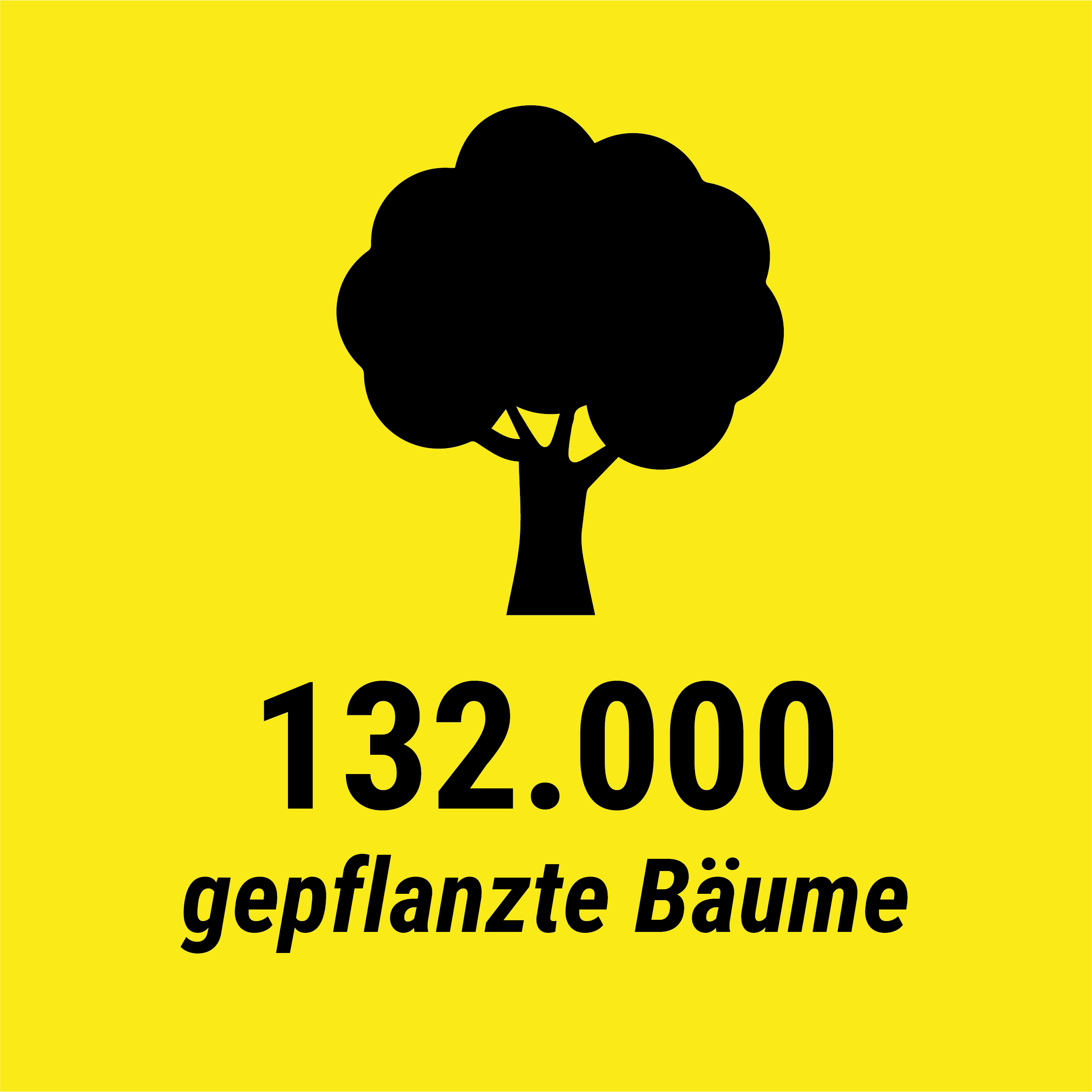 gepflanzte Bäume: 11.000